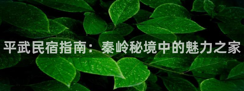 亚博改名球盟会