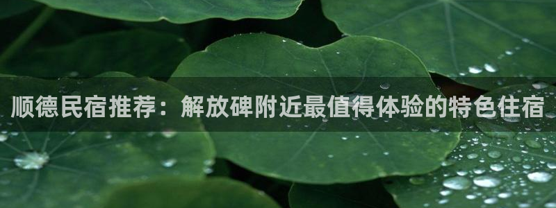 球盟会APP最新地址|顺德民宿推荐：解放碑附近最值得体验的特色住宿